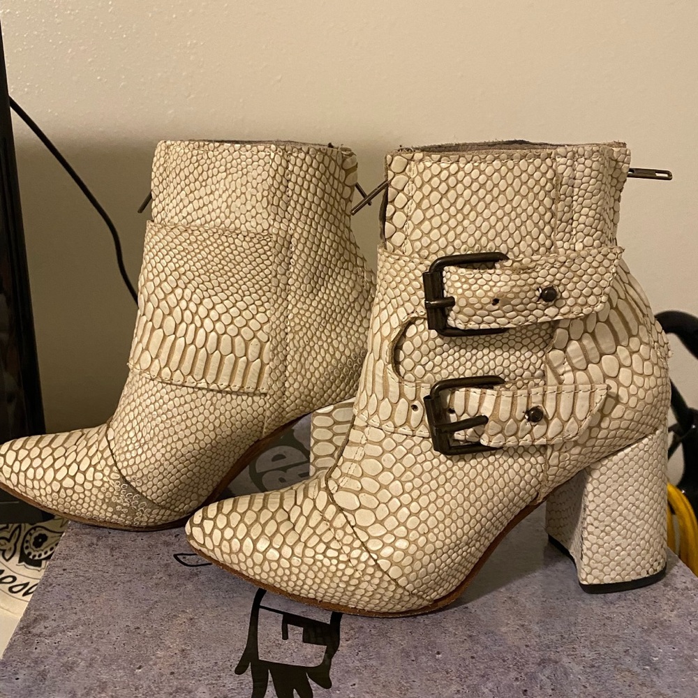 Freebird by Steven White Snake Joey size 7